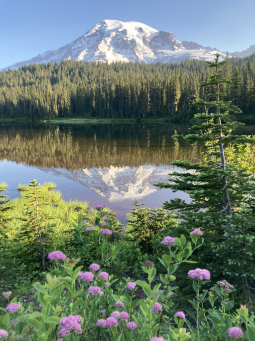 mt rainer, trauma resolution co-regulation skills